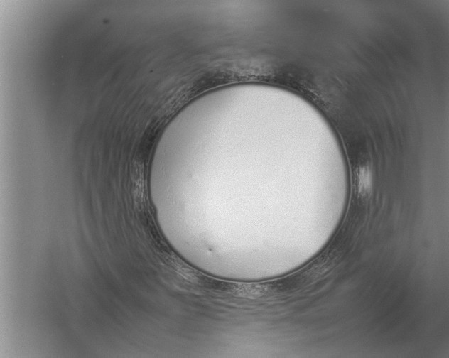 X0000057061251200510010058