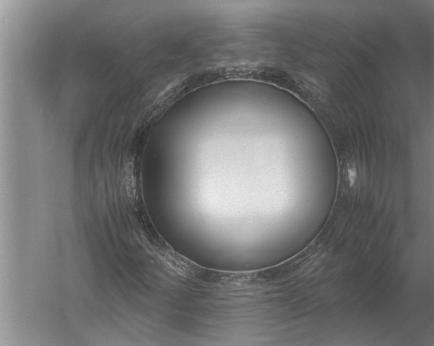 X0000057061252200510010058