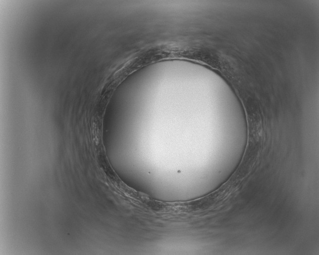 X0000057061253200510010058