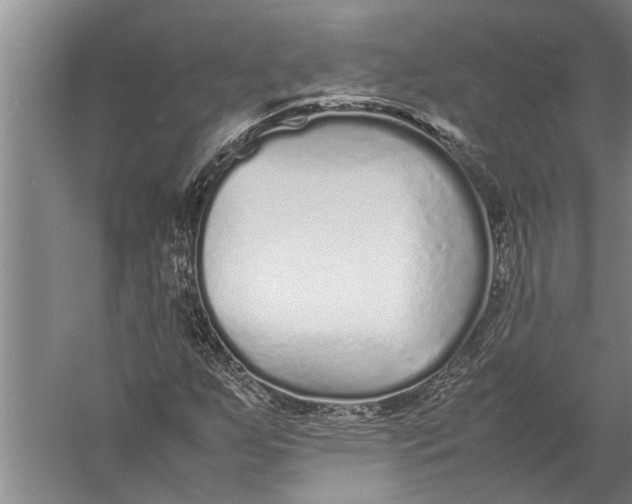 X0000057061255200510010058