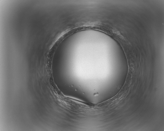 X0000057061256200510010058