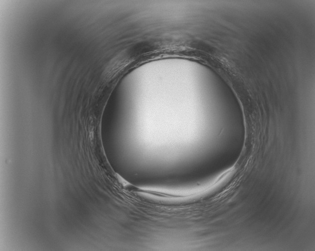 X0000057061257200510010058