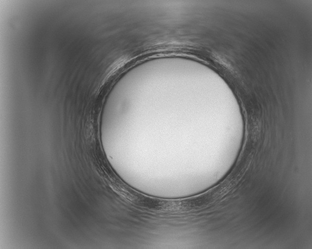 X0000057061259200510010058