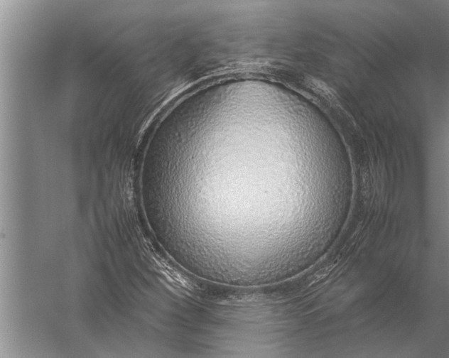 X0000057061260200510010058