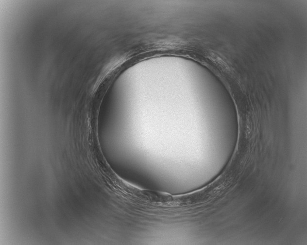 X0000057061261200510010058