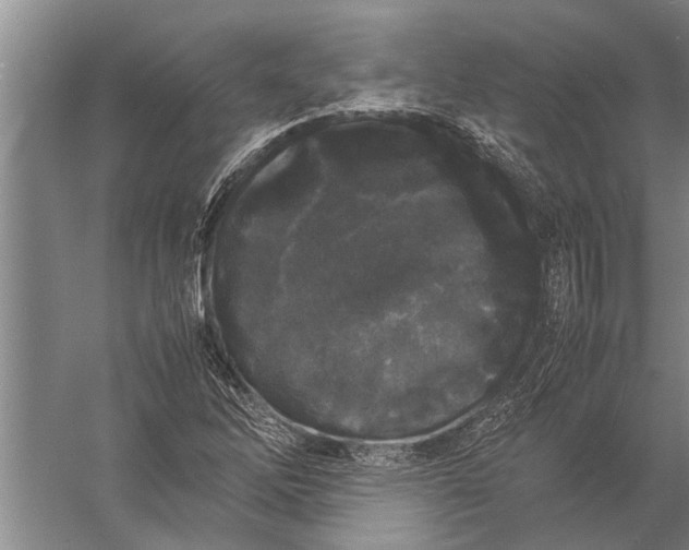 X0000057061262200510010058