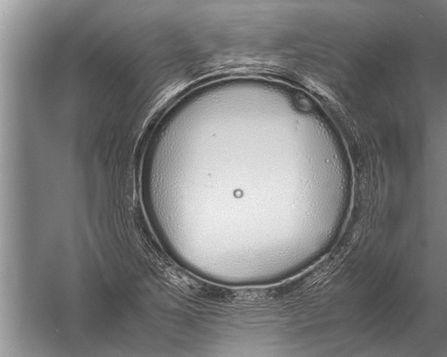 X0000057061267200510010058