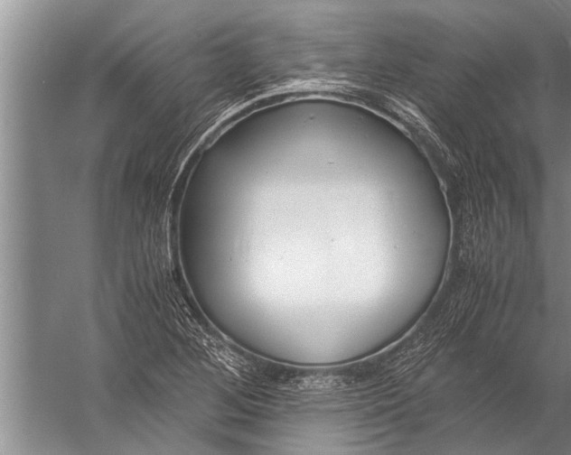 X0000057061268200510010058