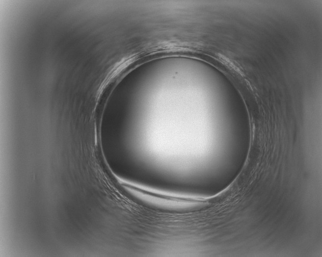 X0000057061269200510010058