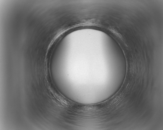 X0000057061270200510010058