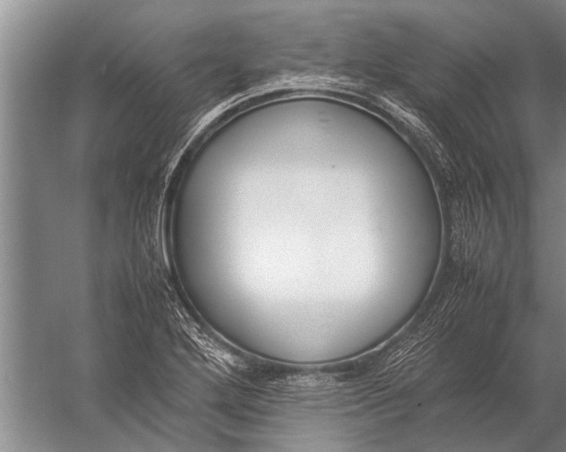 X0000057061272200510010058