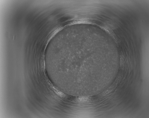 X0000057061274200510010058