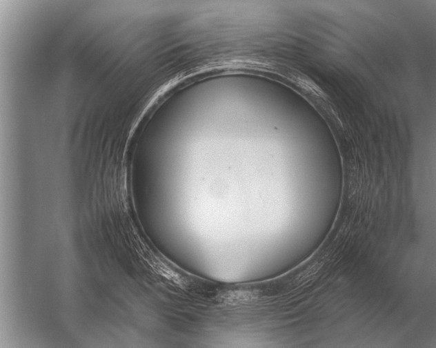 X0000057061280200510010058