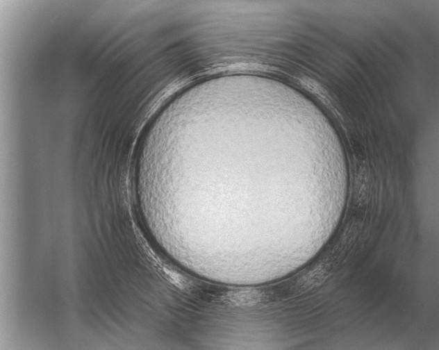 X0000057061282200510010058