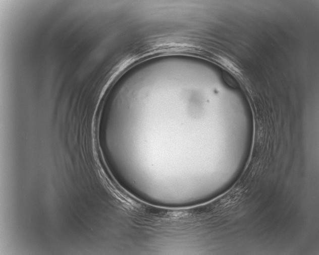 X0000057061283200510010058