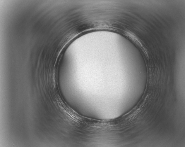 X0000057061284200510010058