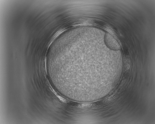 X0000057061290200510010057