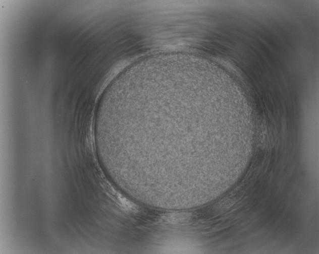 X0000057061294200510010057