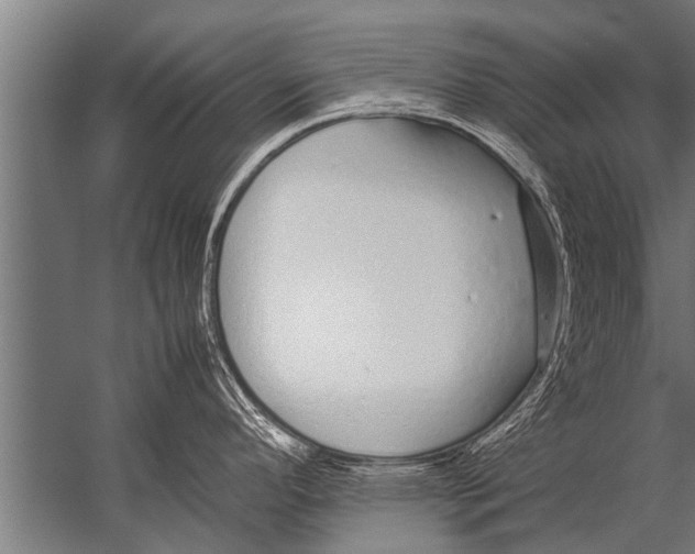 X0000057061296200510010057