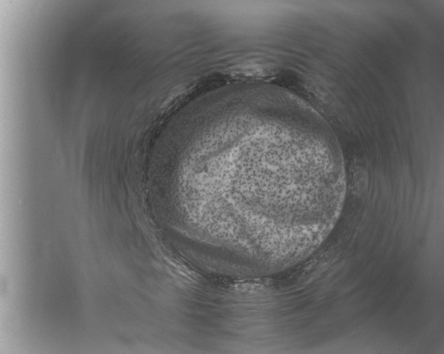 X0000057061297200510010056