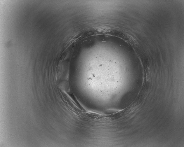 X0000057061298200510010057