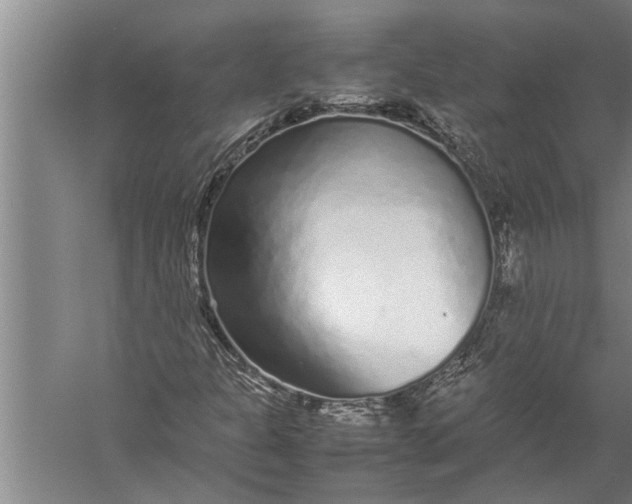 X0000057061301200510010057