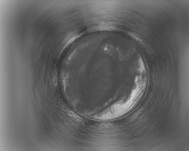 X0000057061306200510010057