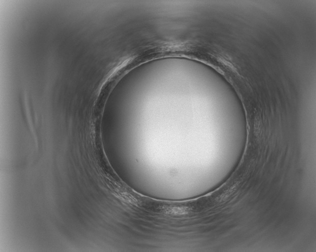 X0000057061309200510010057