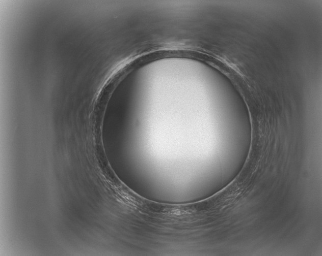 X0000057061311200510010057