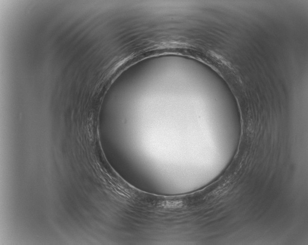 X0000057061313200510010057