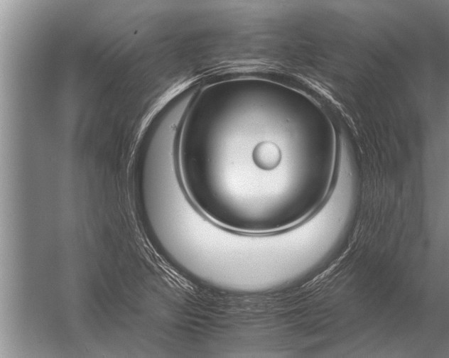 X0000057061317200510010057