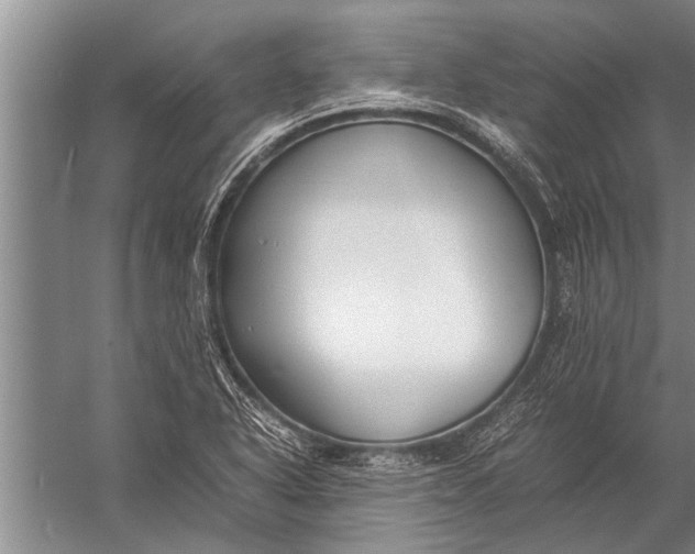 X0000057061318200510010057