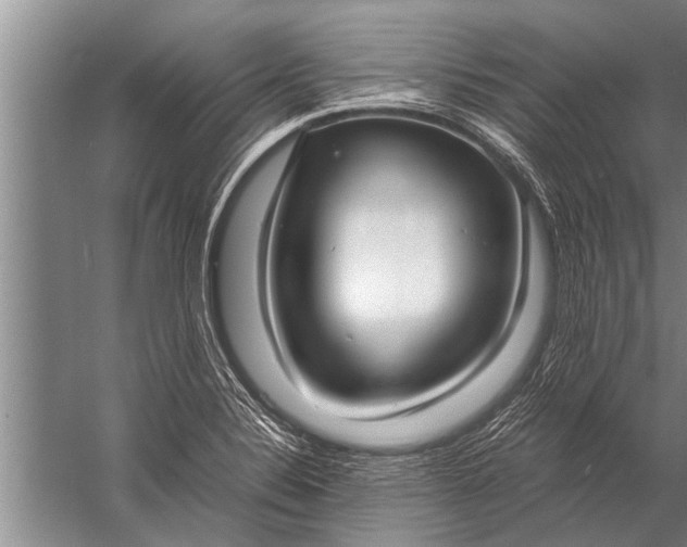 X0000057061324200510010057