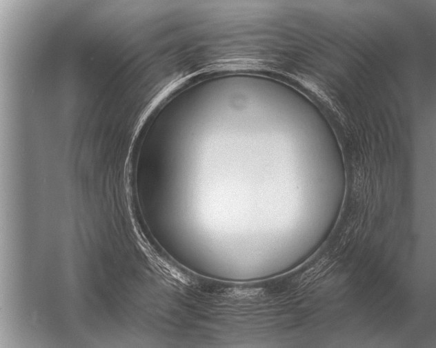 X0000057061325200510010057