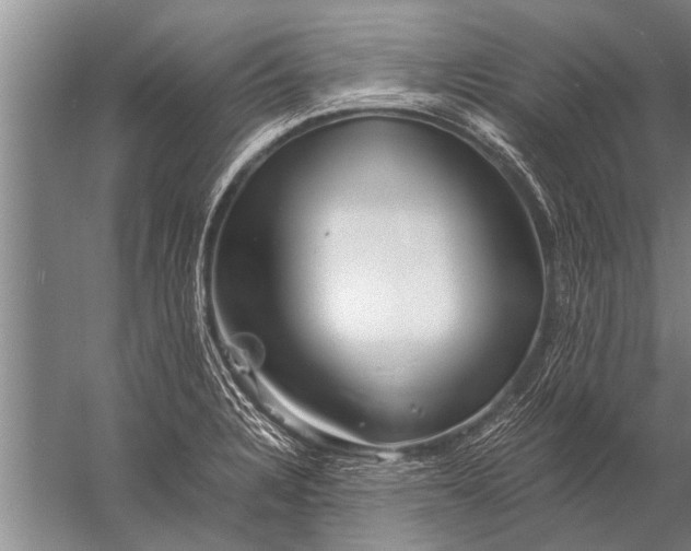 X0000057061328200510010057