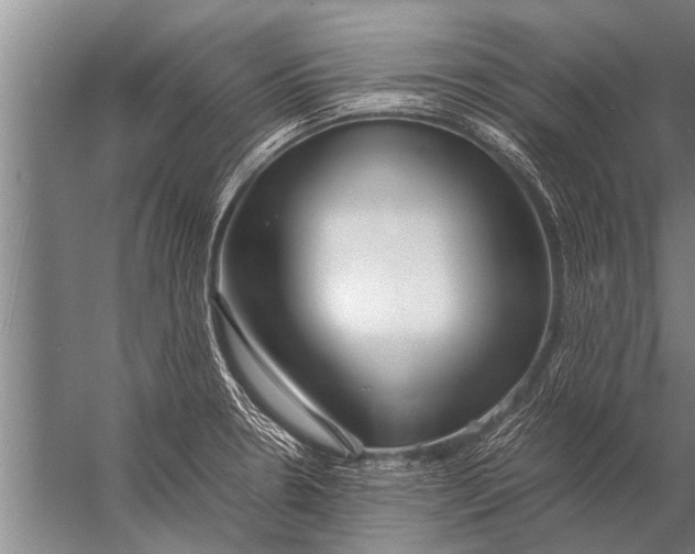 X0000057061330200510010057