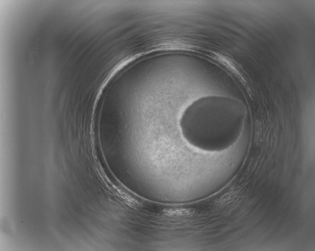 X0000057061331200510010057