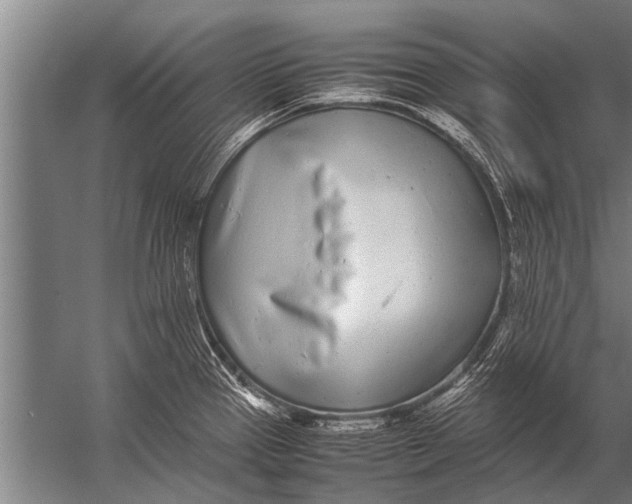 X0000057061337200510010057