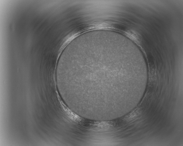 X0000057061338200510010057