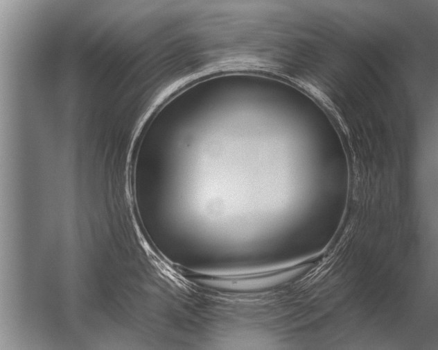 X0000057061342200510010057