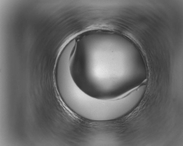 X0000057061344200510010057