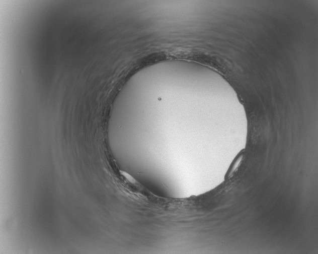 X0000057061345200510010056