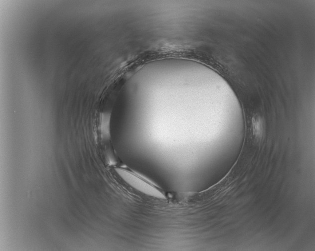 X0000057061348200510010056