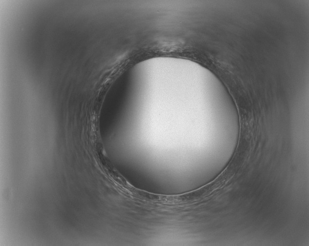 X0000057061349200510010056