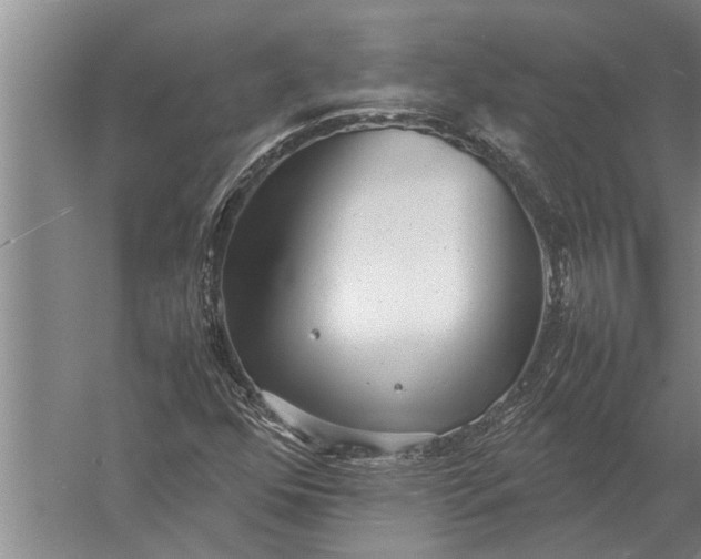 X0000057061352200510010056