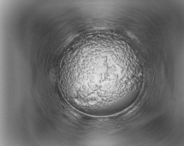 X0000057061353200510010056