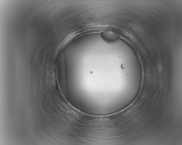 X0000057061354200510010056