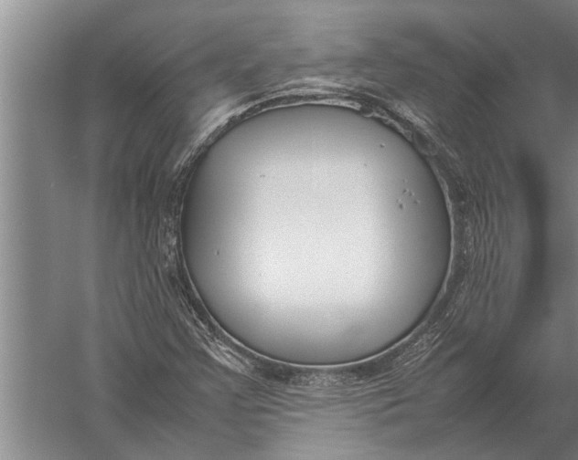 X0000057061355200510010056