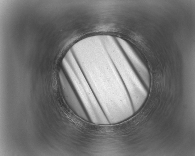 X0000057061358200510010056