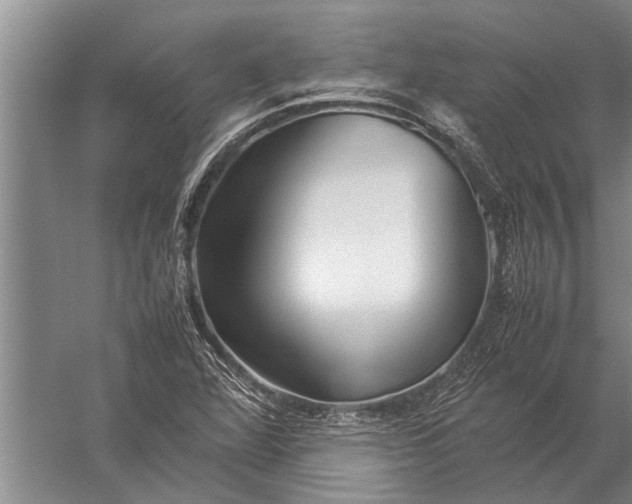 X0000057061360200510010056